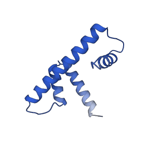 0652_6o96_D_v1-3
Dot1L bound to the H2BK120 Ubiquitinated nucleosome