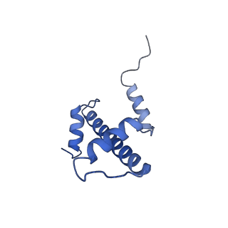 0652_6o96_E_v1-3
Dot1L bound to the H2BK120 Ubiquitinated nucleosome