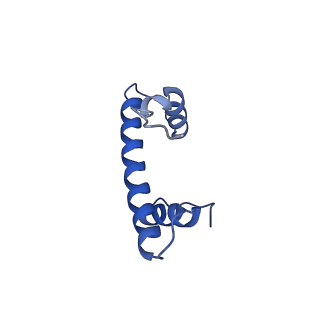 0652_6o96_F_v1-3
Dot1L bound to the H2BK120 Ubiquitinated nucleosome