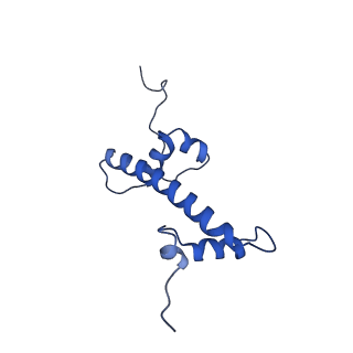0652_6o96_G_v1-3
Dot1L bound to the H2BK120 Ubiquitinated nucleosome