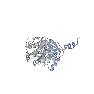 0652_6o96_K_v1-3
Dot1L bound to the H2BK120 Ubiquitinated nucleosome