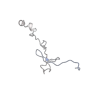 0660_6o90_1_v1-2
Cryo-EM image reconstruction of the 70S Ribosome Enterococcus faecalis Class05