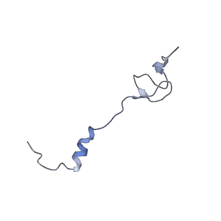 0660_6o90_2_v1-1
Cryo-EM image reconstruction of the 70S Ribosome Enterococcus faecalis Class05