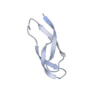 0660_6o90_3_v1-2
Cryo-EM image reconstruction of the 70S Ribosome Enterococcus faecalis Class05