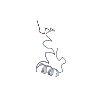 0660_6o90_4_v1-1
Cryo-EM image reconstruction of the 70S Ribosome Enterococcus faecalis Class05