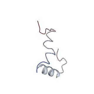 0660_6o90_4_v1-2
Cryo-EM image reconstruction of the 70S Ribosome Enterococcus faecalis Class05