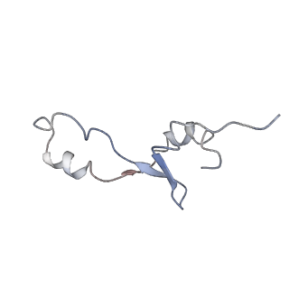 0660_6o90_5_v1-2
Cryo-EM image reconstruction of the 70S Ribosome Enterococcus faecalis Class05