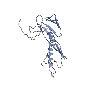 0660_6o90_G_v1-2
Cryo-EM image reconstruction of the 70S Ribosome Enterococcus faecalis Class05