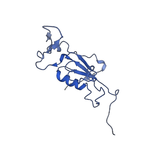 0660_6o90_K_v1-1
Cryo-EM image reconstruction of the 70S Ribosome Enterococcus faecalis Class05