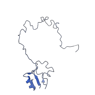 0660_6o90_M_v1-1
Cryo-EM image reconstruction of the 70S Ribosome Enterococcus faecalis Class05