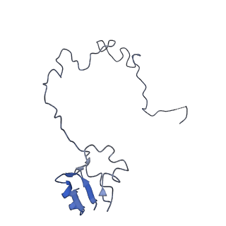 0660_6o90_M_v1-2
Cryo-EM image reconstruction of the 70S Ribosome Enterococcus faecalis Class05