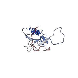 0660_6o90_N_v1-1
Cryo-EM image reconstruction of the 70S Ribosome Enterococcus faecalis Class05