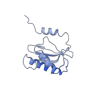 0660_6o90_P_v1-2
Cryo-EM image reconstruction of the 70S Ribosome Enterococcus faecalis Class05