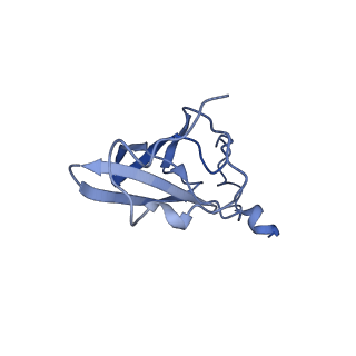 0660_6o90_Q_v1-1
Cryo-EM image reconstruction of the 70S Ribosome Enterococcus faecalis Class05