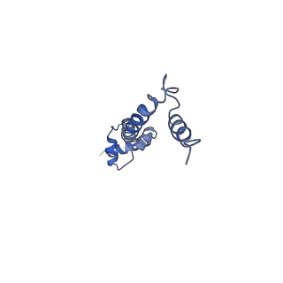 0660_6o90_R_v1-1
Cryo-EM image reconstruction of the 70S Ribosome Enterococcus faecalis Class05