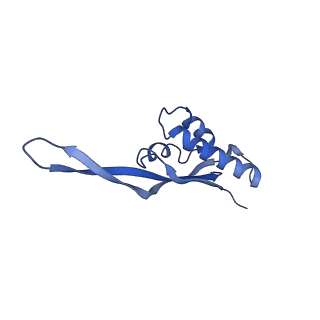 0660_6o90_T_v1-2
Cryo-EM image reconstruction of the 70S Ribosome Enterococcus faecalis Class05