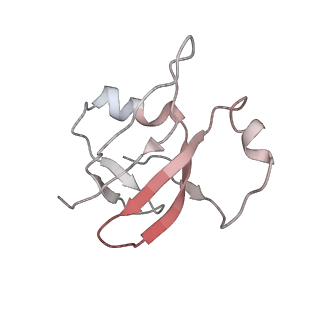 0660_6o90_W_v1-2
Cryo-EM image reconstruction of the 70S Ribosome Enterococcus faecalis Class05