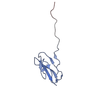 0660_6o90_X_v1-1
Cryo-EM image reconstruction of the 70S Ribosome Enterococcus faecalis Class05