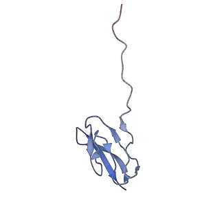 0660_6o90_X_v1-2
Cryo-EM image reconstruction of the 70S Ribosome Enterococcus faecalis Class05