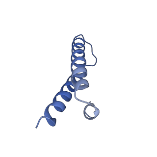 0660_6o90_Z_v1-2
Cryo-EM image reconstruction of the 70S Ribosome Enterococcus faecalis Class05