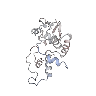 0660_6o90_d_v1-1
Cryo-EM image reconstruction of the 70S Ribosome Enterococcus faecalis Class05