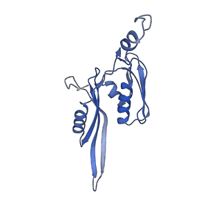 0660_6o90_e_v1-2
Cryo-EM image reconstruction of the 70S Ribosome Enterococcus faecalis Class05