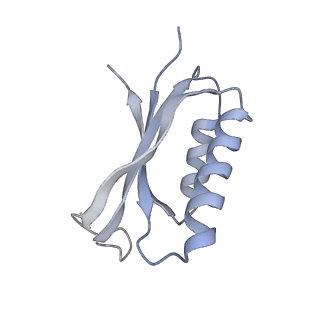 0660_6o90_f_v1-2
Cryo-EM image reconstruction of the 70S Ribosome Enterococcus faecalis Class05