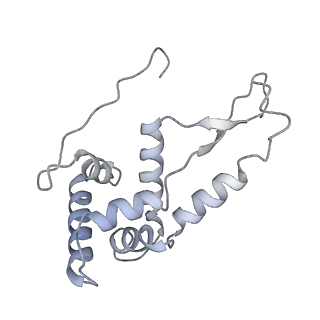 0660_6o90_g_v1-2
Cryo-EM image reconstruction of the 70S Ribosome Enterococcus faecalis Class05