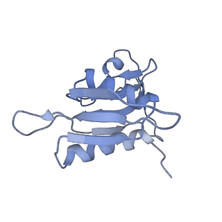 0660_6o90_h_v1-1
Cryo-EM image reconstruction of the 70S Ribosome Enterococcus faecalis Class05