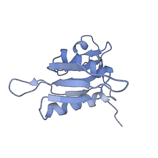 0660_6o90_h_v1-2
Cryo-EM image reconstruction of the 70S Ribosome Enterococcus faecalis Class05