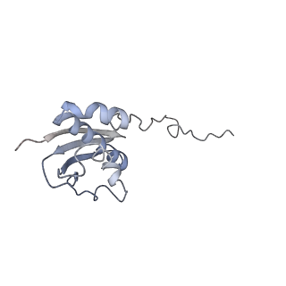 0660_6o90_i_v1-1
Cryo-EM image reconstruction of the 70S Ribosome Enterococcus faecalis Class05