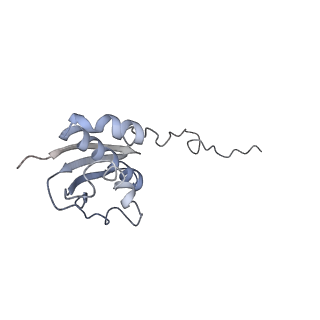 0660_6o90_i_v1-2
Cryo-EM image reconstruction of the 70S Ribosome Enterococcus faecalis Class05