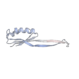 0660_6o90_j_v1-2
Cryo-EM image reconstruction of the 70S Ribosome Enterococcus faecalis Class05