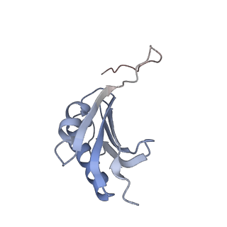 0660_6o90_k_v1-1
Cryo-EM image reconstruction of the 70S Ribosome Enterococcus faecalis Class05