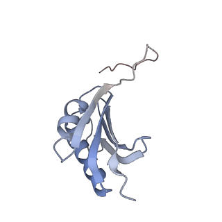 0660_6o90_k_v1-2
Cryo-EM image reconstruction of the 70S Ribosome Enterococcus faecalis Class05