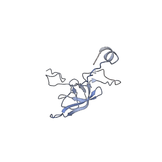0660_6o90_l_v1-1
Cryo-EM image reconstruction of the 70S Ribosome Enterococcus faecalis Class05