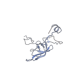 0660_6o90_l_v1-2
Cryo-EM image reconstruction of the 70S Ribosome Enterococcus faecalis Class05