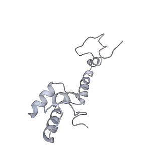 0660_6o90_m_v1-2
Cryo-EM image reconstruction of the 70S Ribosome Enterococcus faecalis Class05