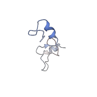 0660_6o90_n_v1-2
Cryo-EM image reconstruction of the 70S Ribosome Enterococcus faecalis Class05