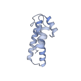 0660_6o90_o_v1-2
Cryo-EM image reconstruction of the 70S Ribosome Enterococcus faecalis Class05