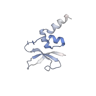 0660_6o90_p_v1-2
Cryo-EM image reconstruction of the 70S Ribosome Enterococcus faecalis Class05