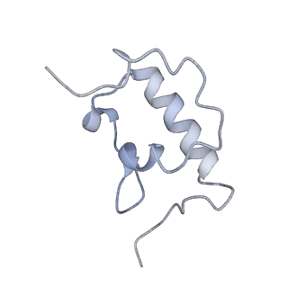 0660_6o90_r_v1-1
Cryo-EM image reconstruction of the 70S Ribosome Enterococcus faecalis Class05
