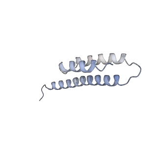 0660_6o90_t_v1-1
Cryo-EM image reconstruction of the 70S Ribosome Enterococcus faecalis Class05