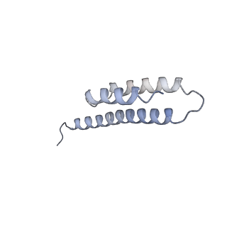 0660_6o90_t_v1-2
Cryo-EM image reconstruction of the 70S Ribosome Enterococcus faecalis Class05