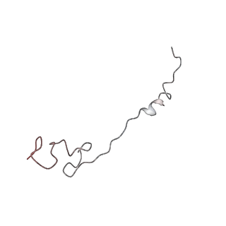 0661_6o9j_1_v1-3
70S Elongation Competent Ribosome