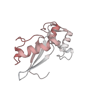 0661_6o9j_6_v1-2
70S Elongation Competent Ribosome