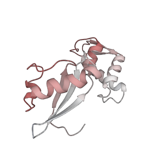 0661_6o9j_6_v1-3
70S Elongation Competent Ribosome