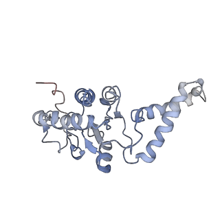 0661_6o9j_7_v1-2
70S Elongation Competent Ribosome