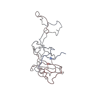 0661_6o9j_D_v1-2
70S Elongation Competent Ribosome