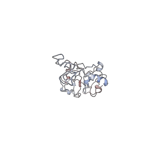0661_6o9j_E_v1-2
70S Elongation Competent Ribosome